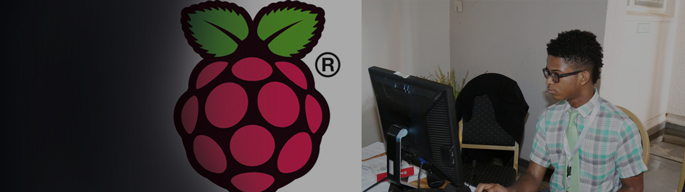 Raspberry Pi appreciation workshops